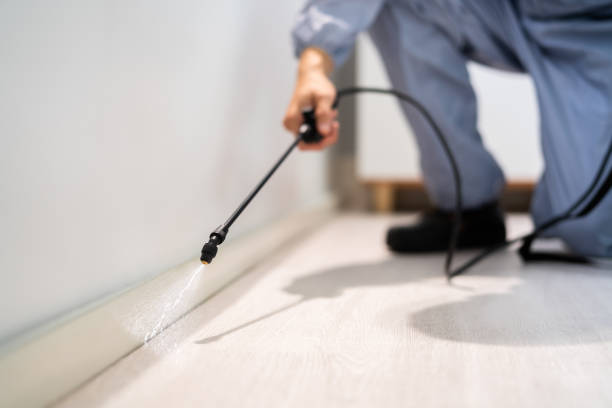 Licensed Pest Control service in New London, CT - Show Me Pest Control