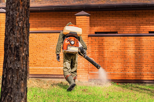 Top rated local Mosquito Control specialists in New London, CT